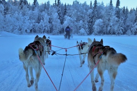 sled-3953650_640