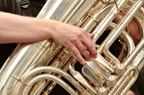 tuba-g31ca96aaa_640