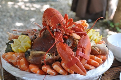 seafood-platter-1232389_640