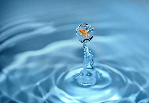 drop-of-water-1302535_640