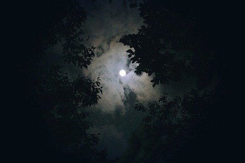 moon-g874d48d7d_640