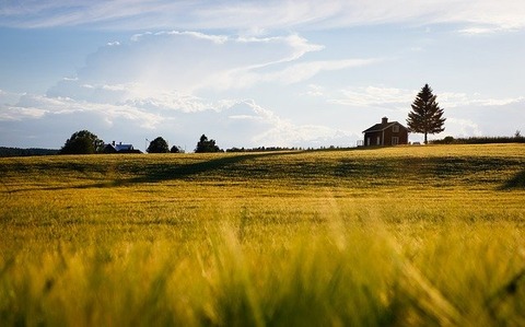 barn-1850690_640