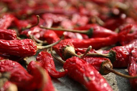 chili-gbe262b833_640