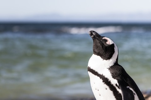 noah-holm-uS1R2o5bENA-unsplash