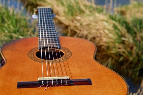 guitar-ga942836a0_640