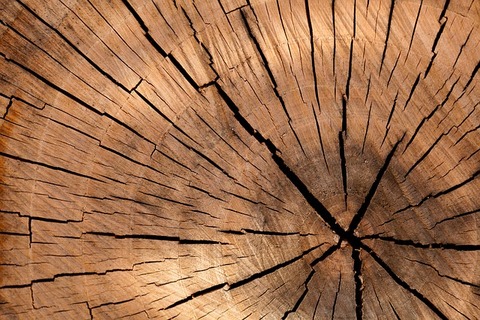 lumber-84678_640