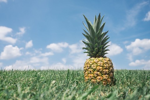 pineapple-867245_640