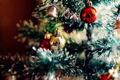 christmas-tree-1149619_640