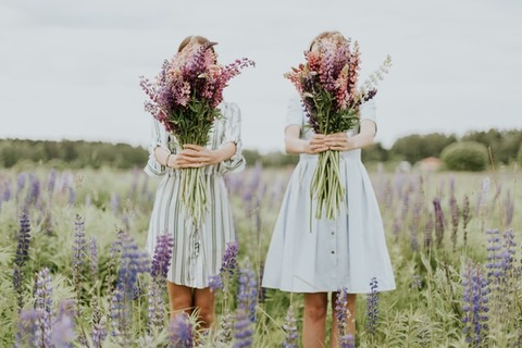 daiga-ellaby-sl8LHdVH06U-unsplash