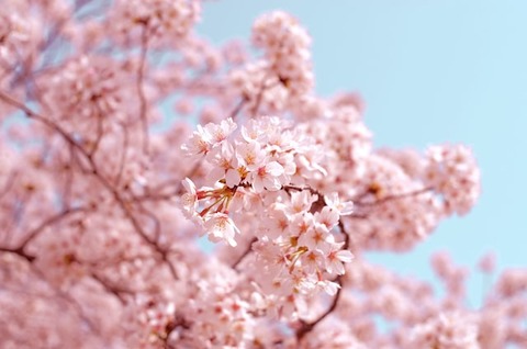 aj-McsNra2VRQQ-unsplash (2)