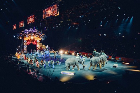 circus-828680_640