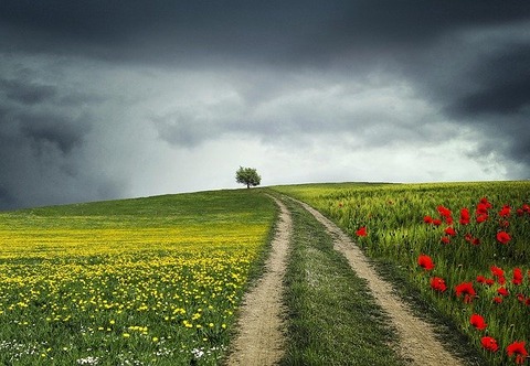 path-832031_640