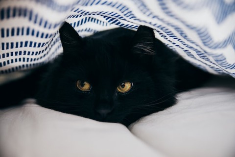 andreea-popa-6ST6S6i9IGM-unsplash