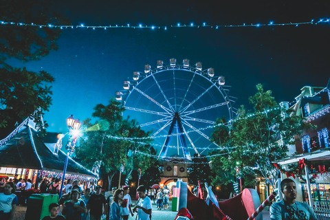 black-and-white-ferris-wheel-1782146