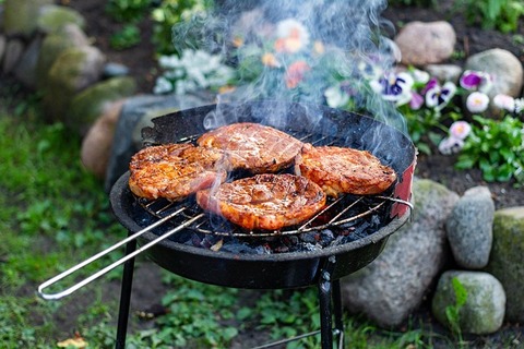 grill-3396040_640