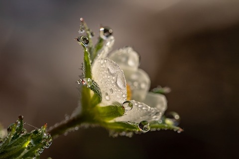 raindrop-3402550_640