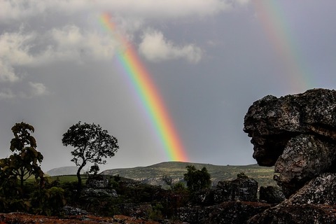 rainbow-509500_640