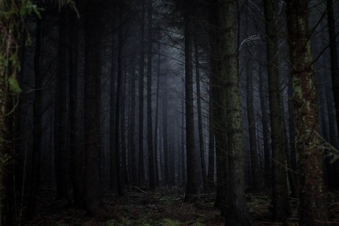 rosie-fraser-1L71sPT5XKc-unsplash