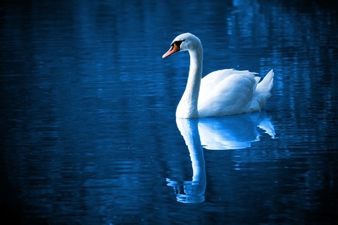 beautiful-16736_640