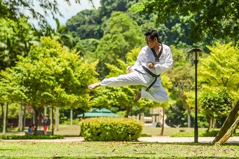 martial-arts-2924161_640