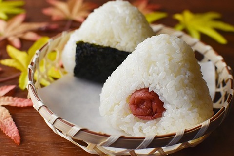 rice-ball-gf2fbe3f6c_640