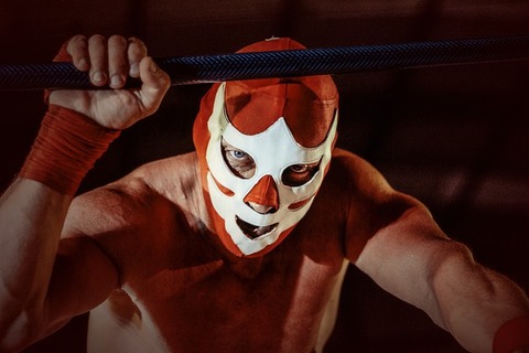 wrestler-5639462_640