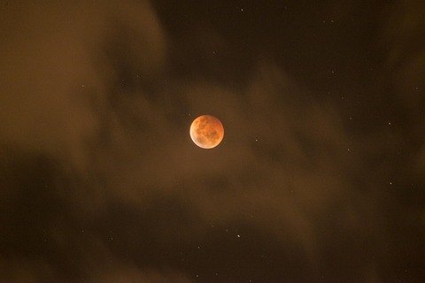 blood-moon-gde6c87faa_640