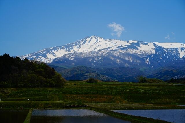 神回】ファミリーヒストリー「柳葉敏郎・姉がいることが判明」回が 