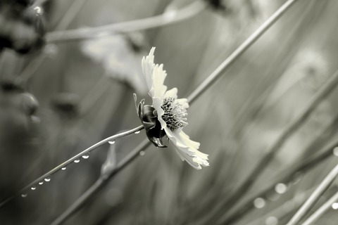 e18127c8f8fcee30d212c3f58d5143c7_s