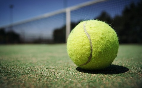 tennis-ball-984611_640