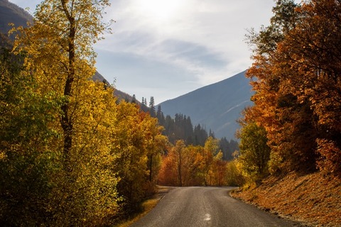 mccabe-coats-nSyZ_01UldE-unsplash