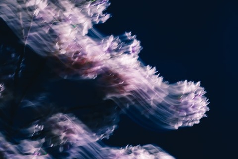 nikita-taparia-loKDDHgV9Xo-unsplash
