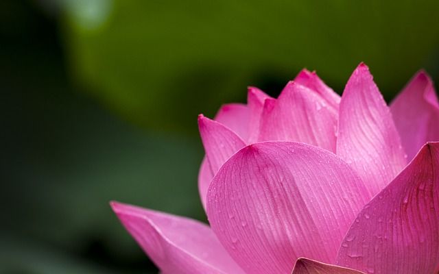 ドラマ 高嶺の花 第7話への反応まとめ 感想 石原さとみ 峯田和伸 芳根京子 千葉雄大 大貫勇輔 香里奈 小日向文世 つぶちゃん Twitterまとめ