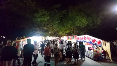 Night Fair at TOYOHASHI (2)