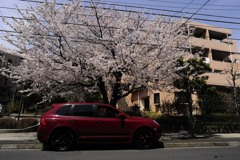 カイエン！_DSC0088