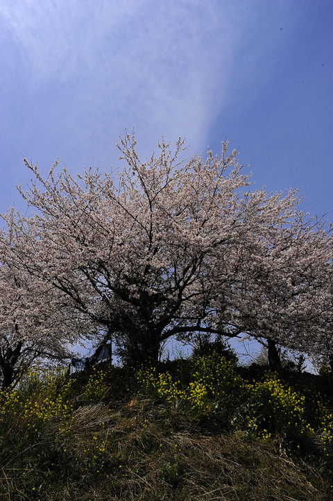 カイエン！_DSC0121