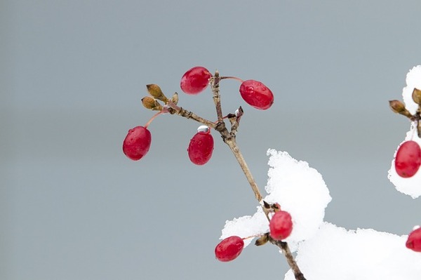 snow-g9cd223e4e_640
