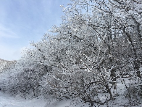 snow-712446_640