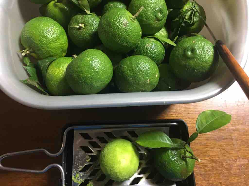 青柚子の皮を削る ブッチャケ ぶっ鮭 日記