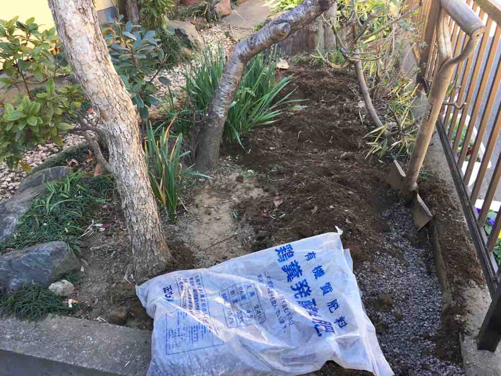 畑を休んで蜂屋柿にお礼の肥料を埋め込む ブッチャケ ぶっ鮭 日記 畑を休んで蜂屋柿にお礼の肥料を埋め込む ブッチャケ ぶっ鮭 日記