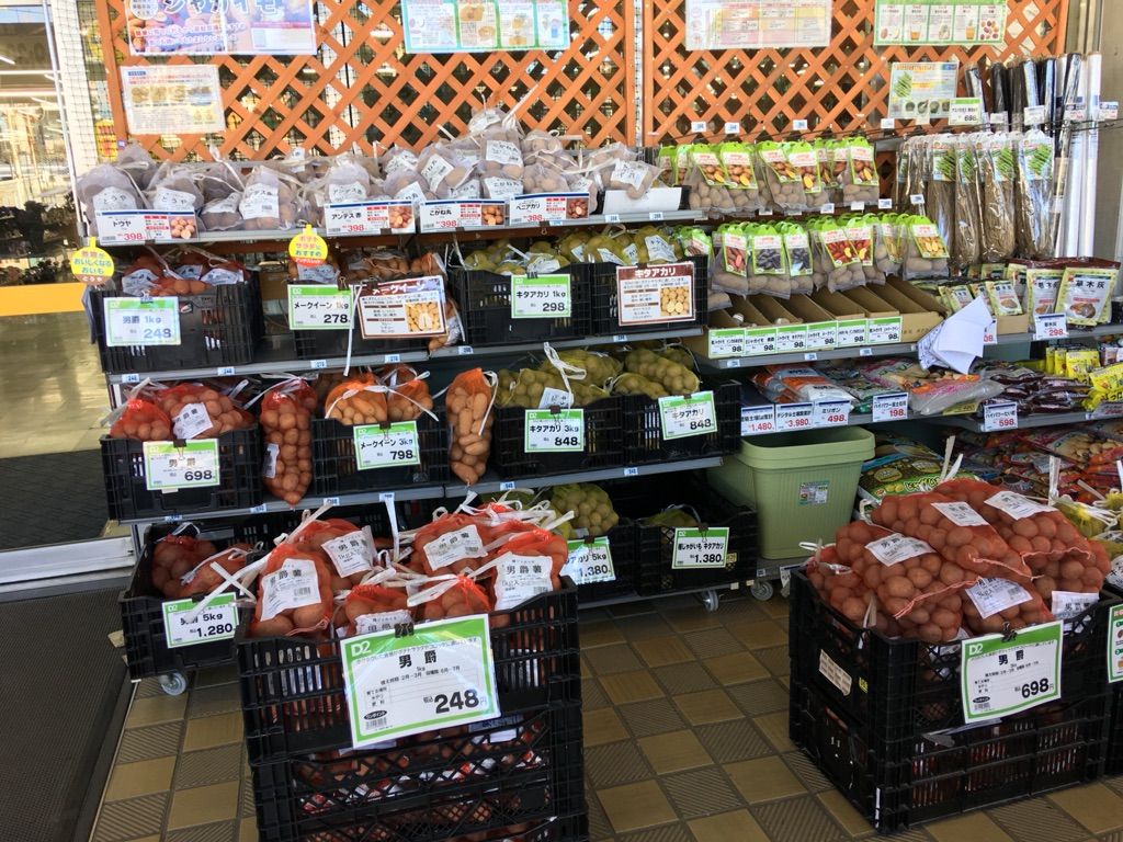 キタアカリ メークイン種芋買ってしまった ブッチャケ ぶっ鮭 日記