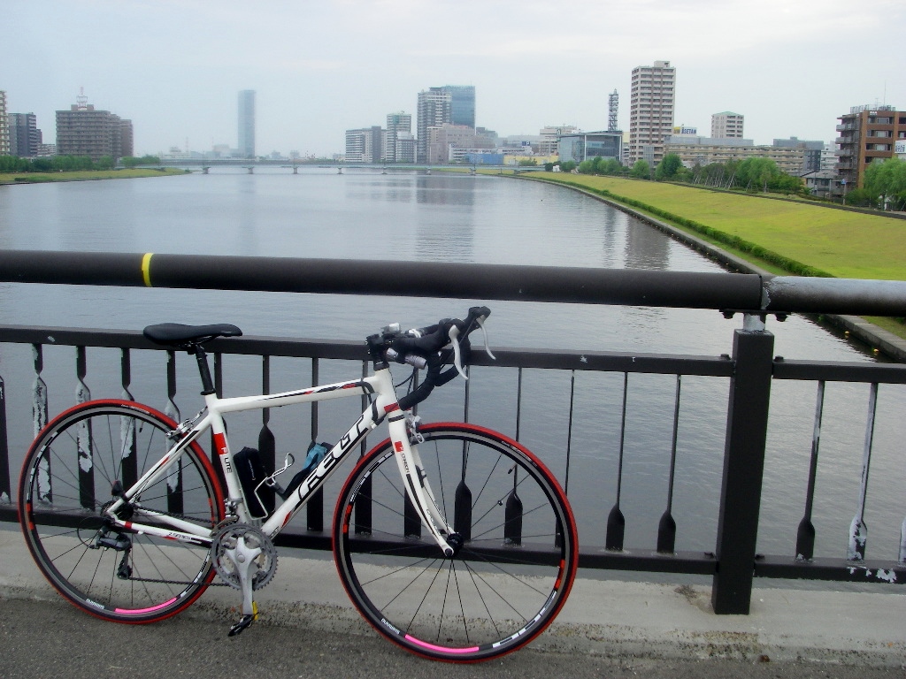 自転車 リム ステッカー