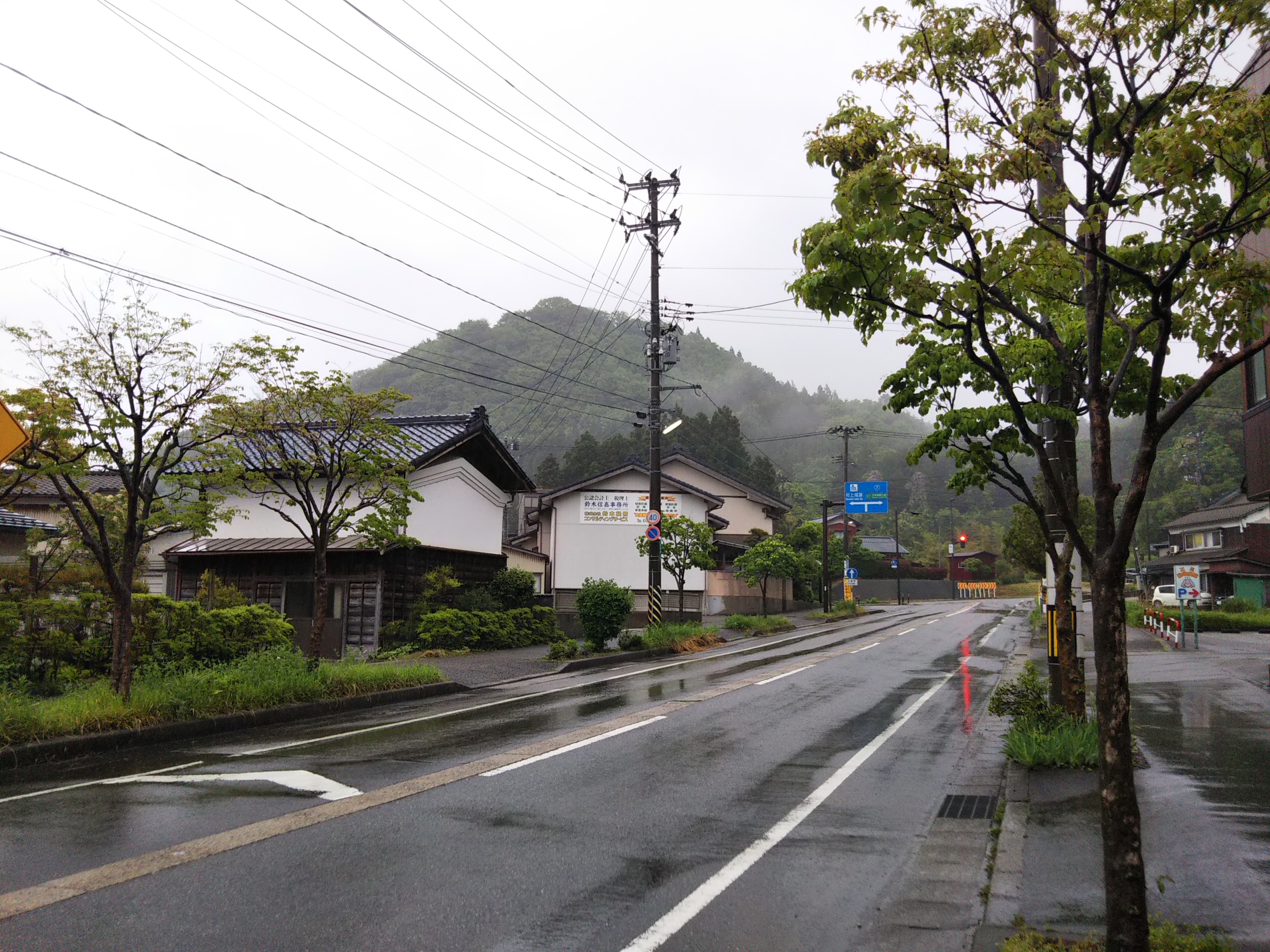 村上市臥牛山のトレラン 新潟島のサクランボ シーバス電脳日誌 ロードバイクでサイクリングも