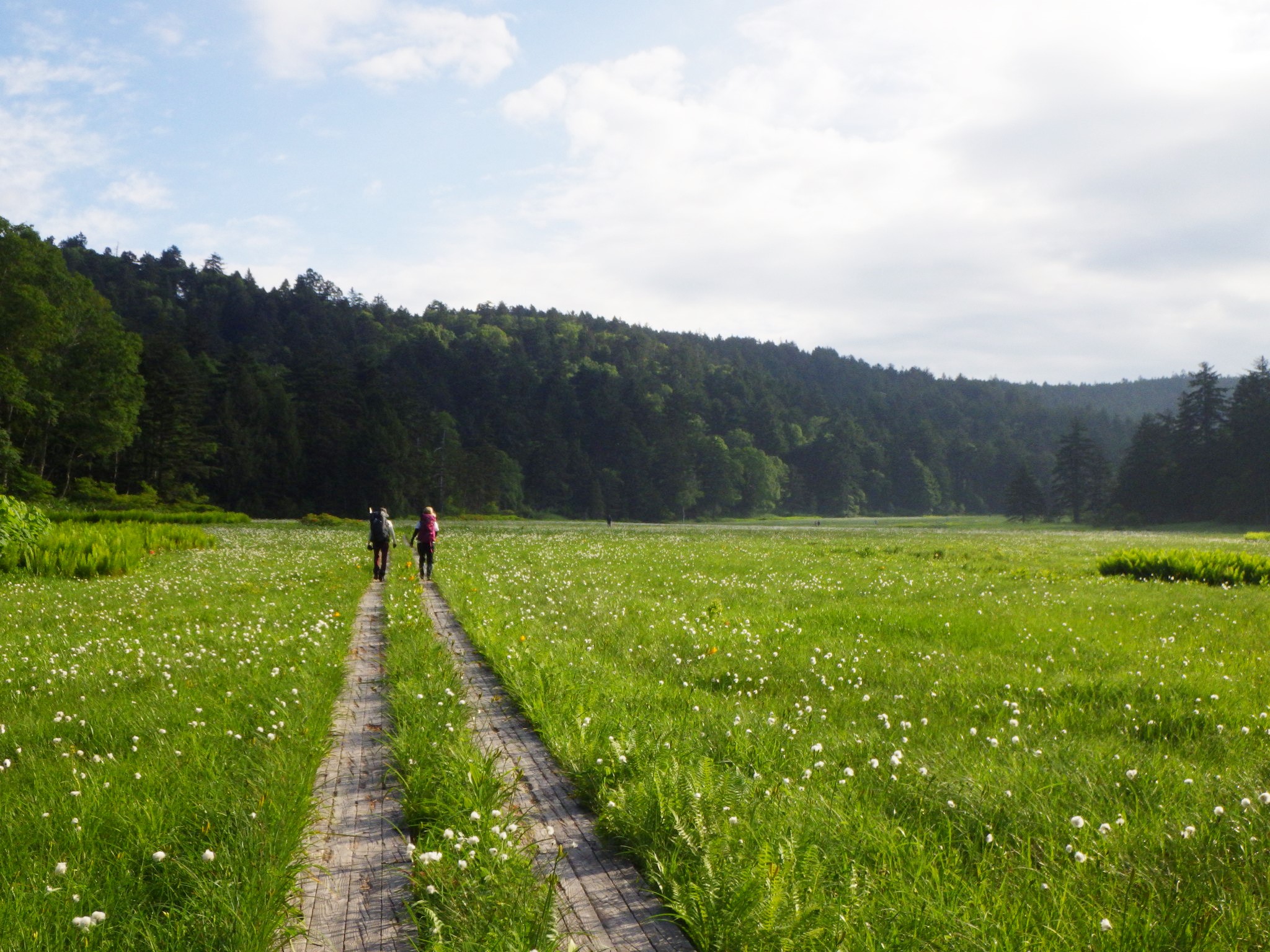 尾瀬登山最終日 白砂峠と尾瀬沼 大江湿原 シーバス電脳日誌 ロードバイクでサイクリングも