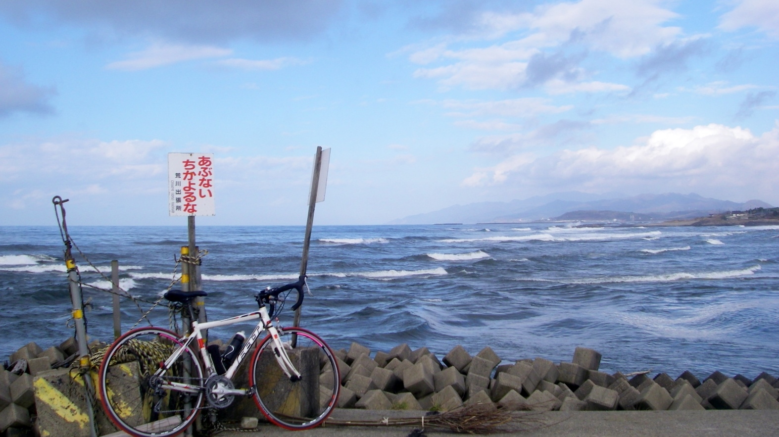 荒川河口までサイクリング100km サケの最期 シーバス電脳日誌 ロードバイクでサイクリングも 荒川河口までサイクリング100km サケの最期 シーバス電脳日誌 ロードバイクでサイクリングも