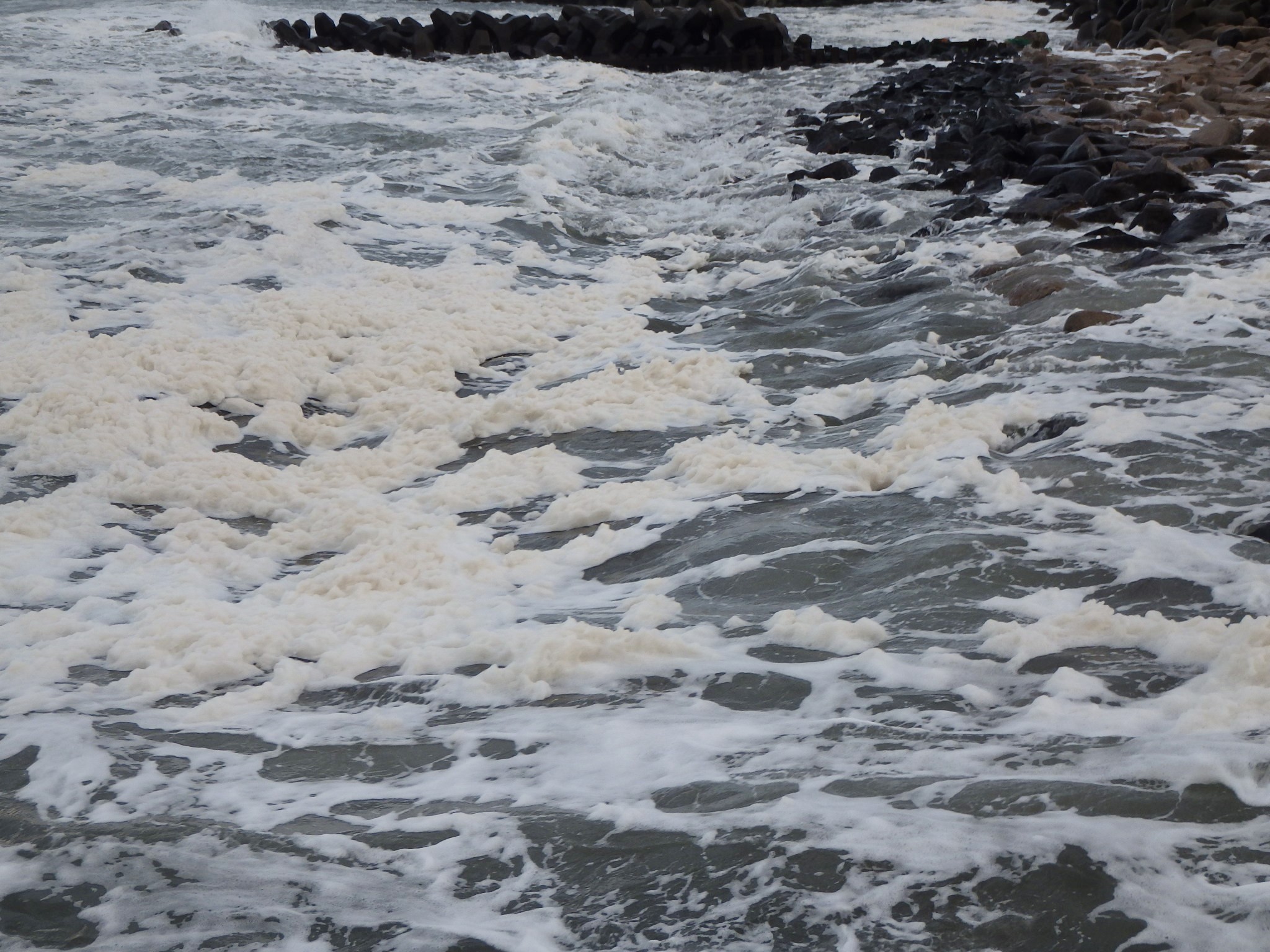 週末は新潟島1周ジョギング 波の華 シーバス電脳日誌 ロードバイクでサイクリングも