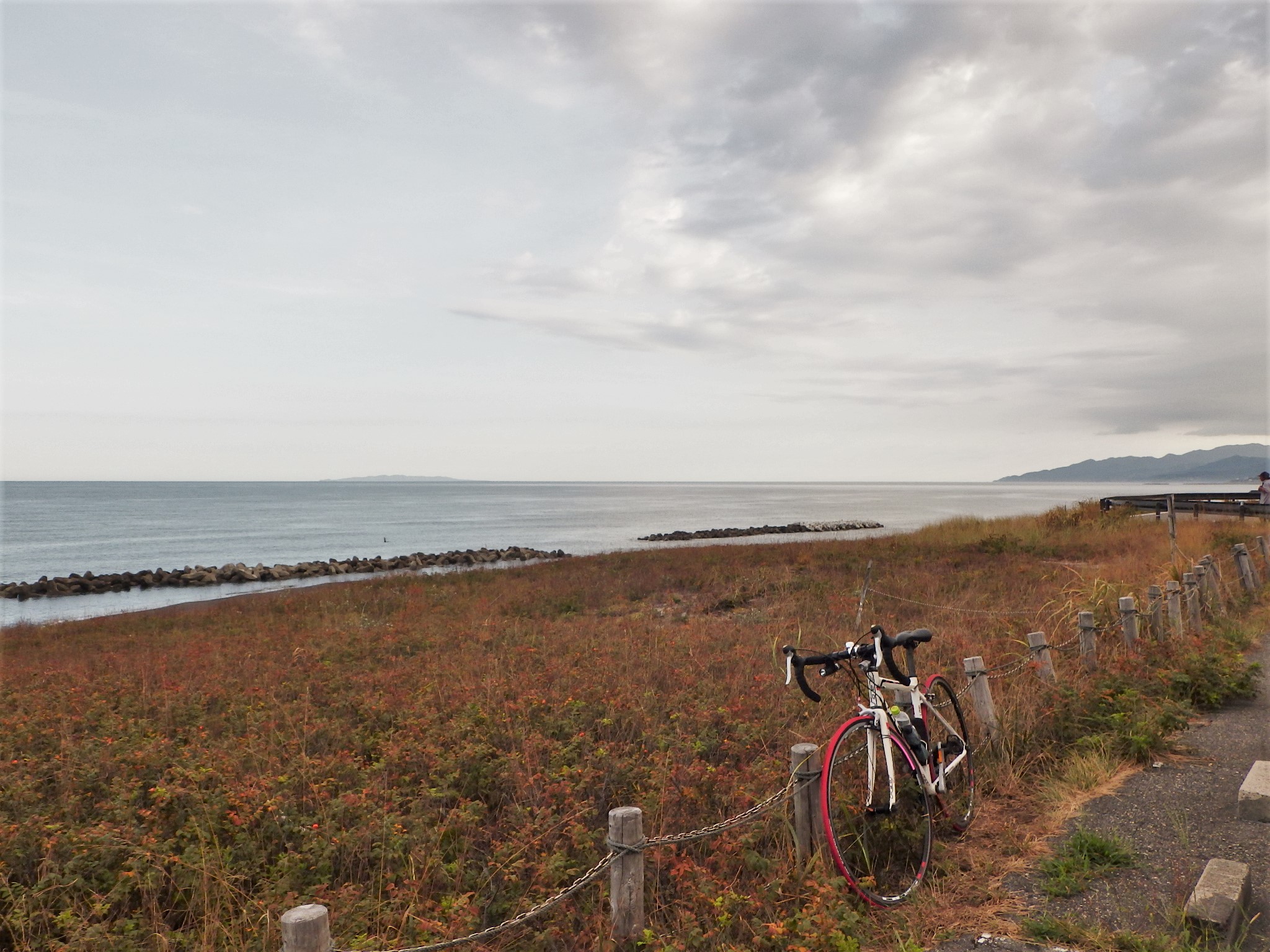 ツバメ 自転車 復活