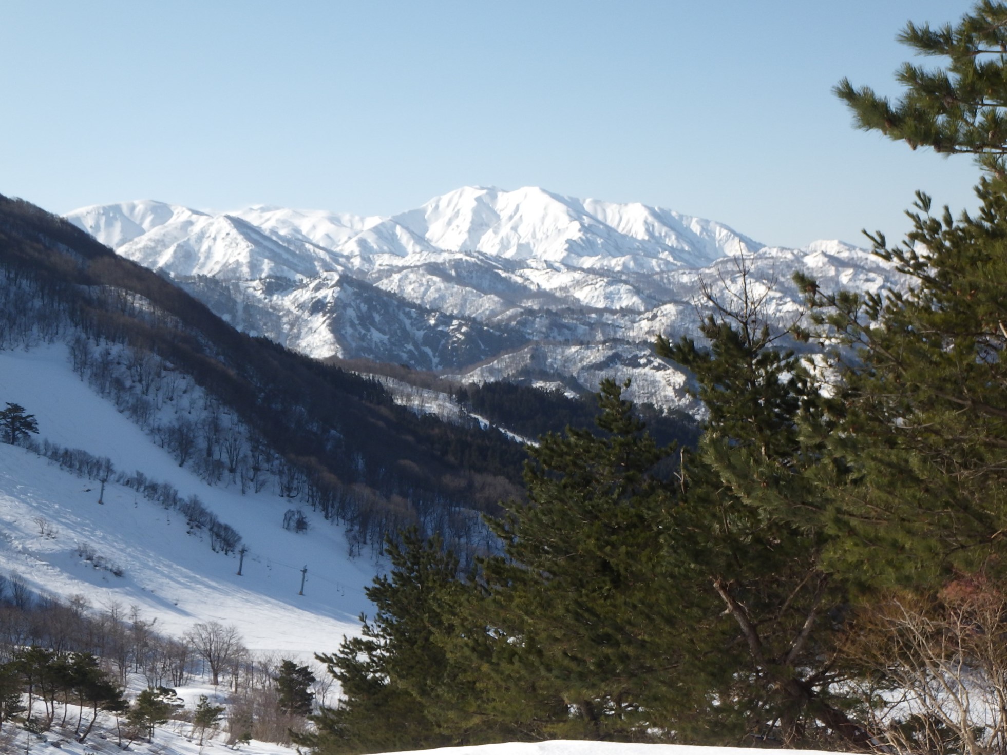 シーバス電脳日誌 ロードバイクでサイクリングも スキー21回目 わかぶな高原スキー場 livedoor Blog(ブログ) シーバス電脳日誌 ロードバイクでサイクリングも スキー21回目 わかぶな高原スキー場 livedoor Blog(ブログ)