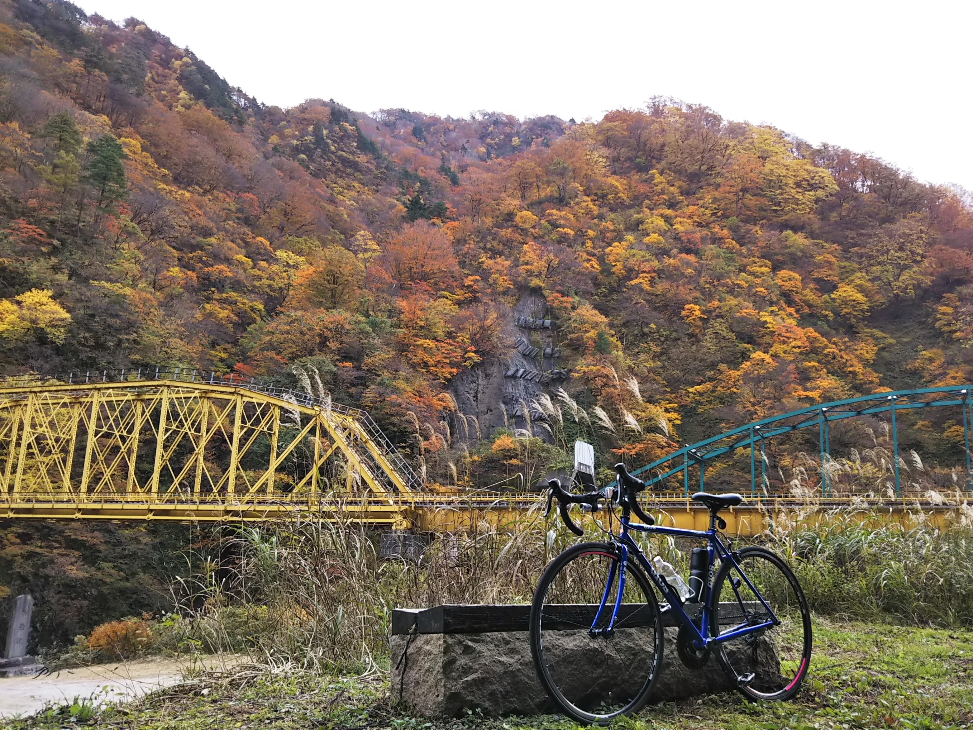センチュリーライド 紅葉の赤芝峡165kmサイクリング シーバス電脳日誌 ロードバイクでサイクリングも