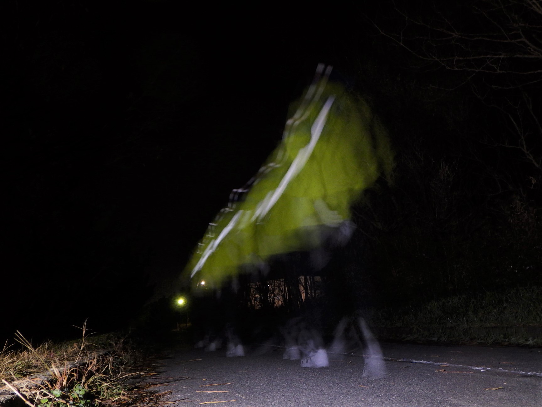 ジョギング モクズガニゲット 心霊写真も シーバス電脳日誌 ロードバイクでサイクリングも